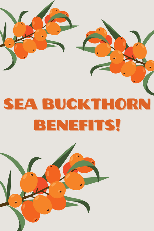 Sea Buckthorn Benefits