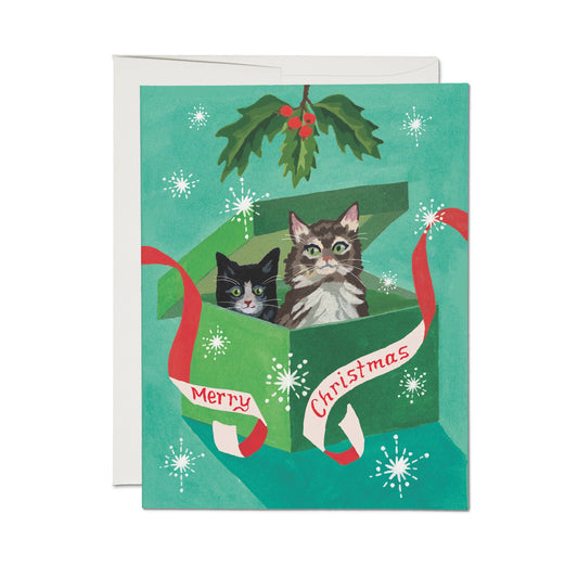 Meowy Christmas holiday greeting card: Single