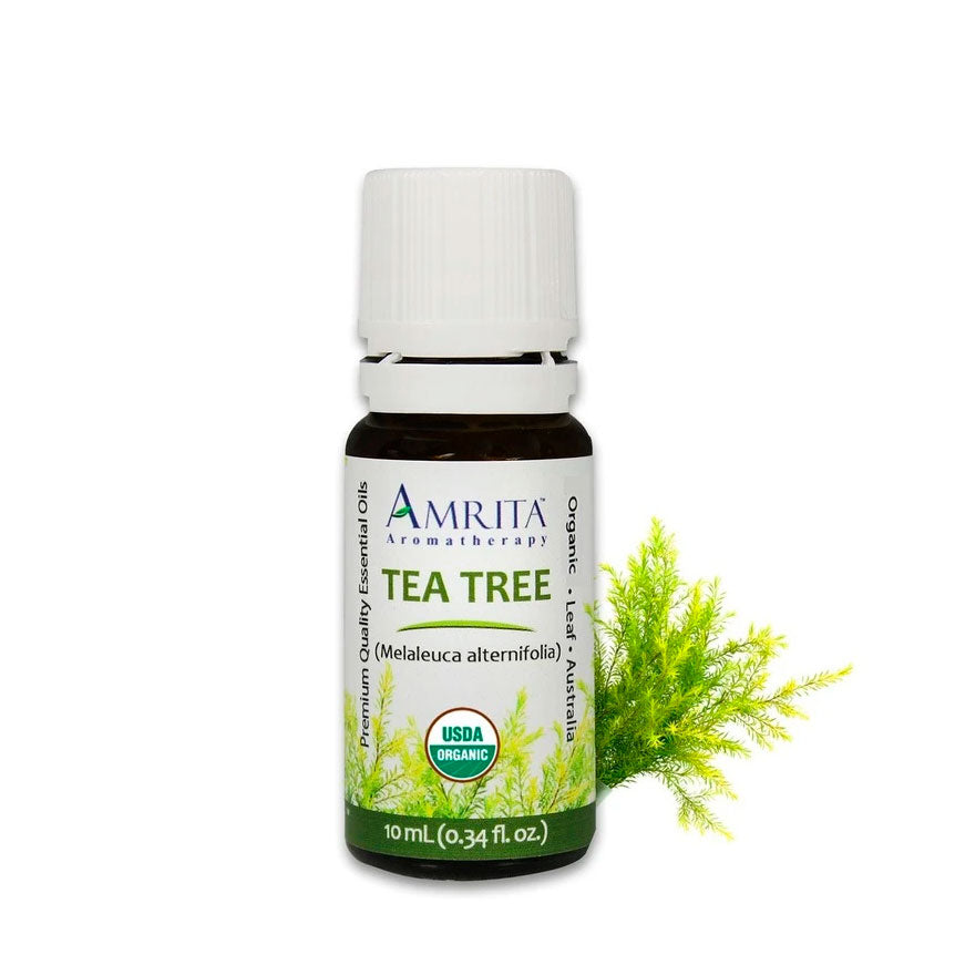 melaleuca alternifolia tea tree oil